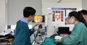 Noi Soi Dai Trang 9 17632063042331848663608 174 0 1424 2000 Crop 1763206315427654909434