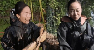 Nu Doanh Nhan Vo No Hon 18 Ty Dong Lan Loi Dao Cu Sen Lam Lai Tu Dau 575