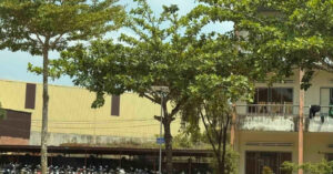 nu giao vien bi phat tan hinh anh nhay cam hieu truong nha truong len tieng 126