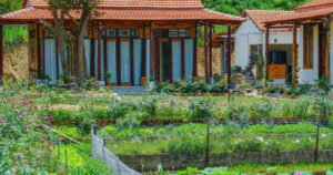 Nu Quan Ly Bo Pho Ve Que De Nghi Huu Som Voi 11 Ty 3 Nam Sau Hoi Han Quay Lai Thanh Pho Tim Viec 39B