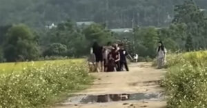 nu sinh lop 8 o nghe an bi nhom ban danh hoi dong phai nhap vien 1242