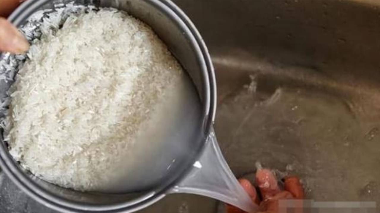 Nuoc Vo Gao Bau Vat Tuyet Voi Dung Do Di Cach Dung Giup Cham Soc Suc Khoe Hieu Qua Tiet Kiem Chi Phi