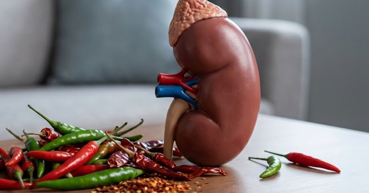 Ot Than 1764263866972101214986 198 258 677 1024 Crop 17642638841421322202665