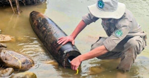 Phat Hien Qua Bom Nang 227Kg Chua Day Thuoc No Gan Cho O Thanh Pho Hue 1878