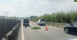 Phat Hien Thi The Nam Gioi Nghi La Nguoi Nuoc Ngoai Tren Cao Toc 3056