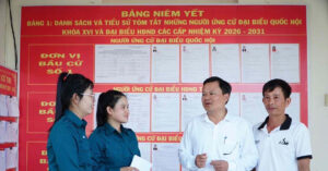 pho giao su say me nghien cuu ve nam ung cu dai bieu quoc hoi 776
