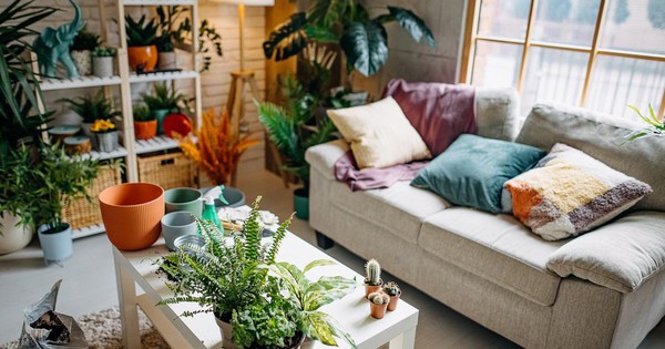 Phong Khach 1765526503344207319820 0 100 679 1186 Crop 17655265060601885979769