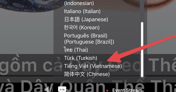 Photo 1757438961867 17574389621281028957244 186 242 754 1151 Crop 1757439028727759529557