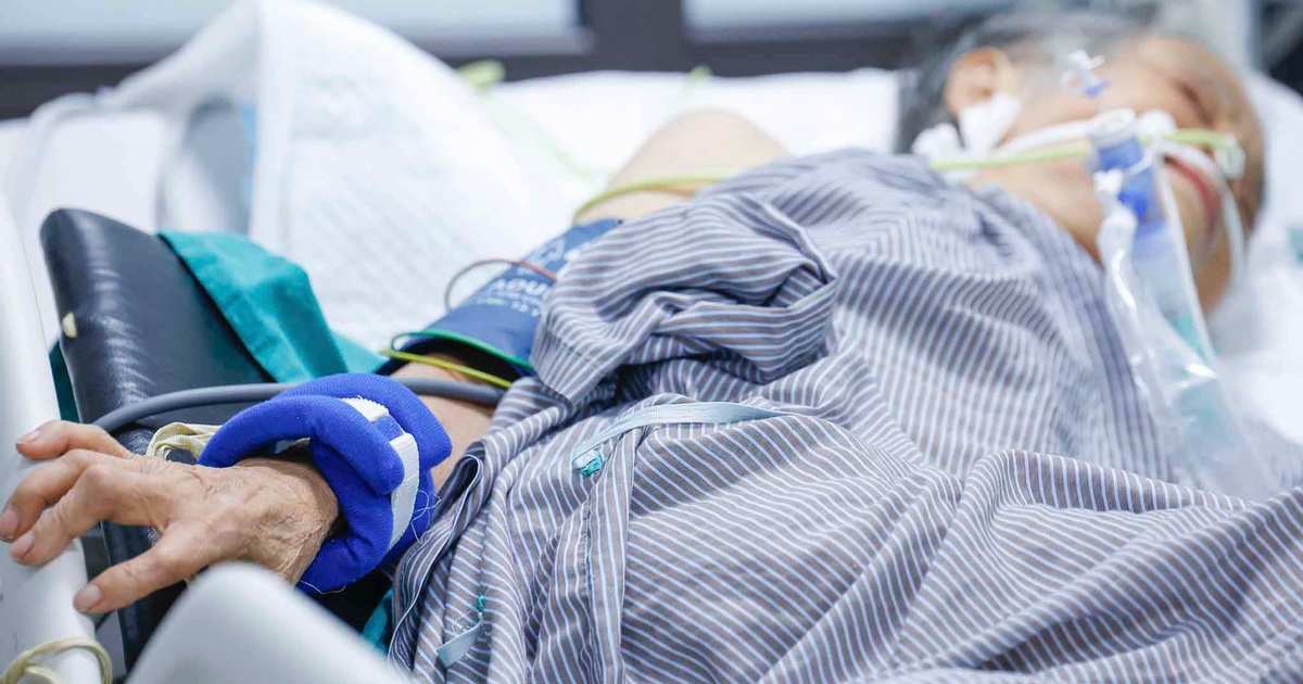 Photo 1762784233161 1762784233728591174207 83 0 1333 2000 Crop 17627842465432037034870