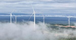 Photo1764846874937 1764846875058278470127 1764855777316795484162