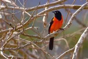 Phu Nu Sinh Vao 3 Thang Am Lich Nay Vua Vuong Tai Vua Vuong Phu Ai Lay Duoc Phuc Duc 3 Doi 224107.Jp