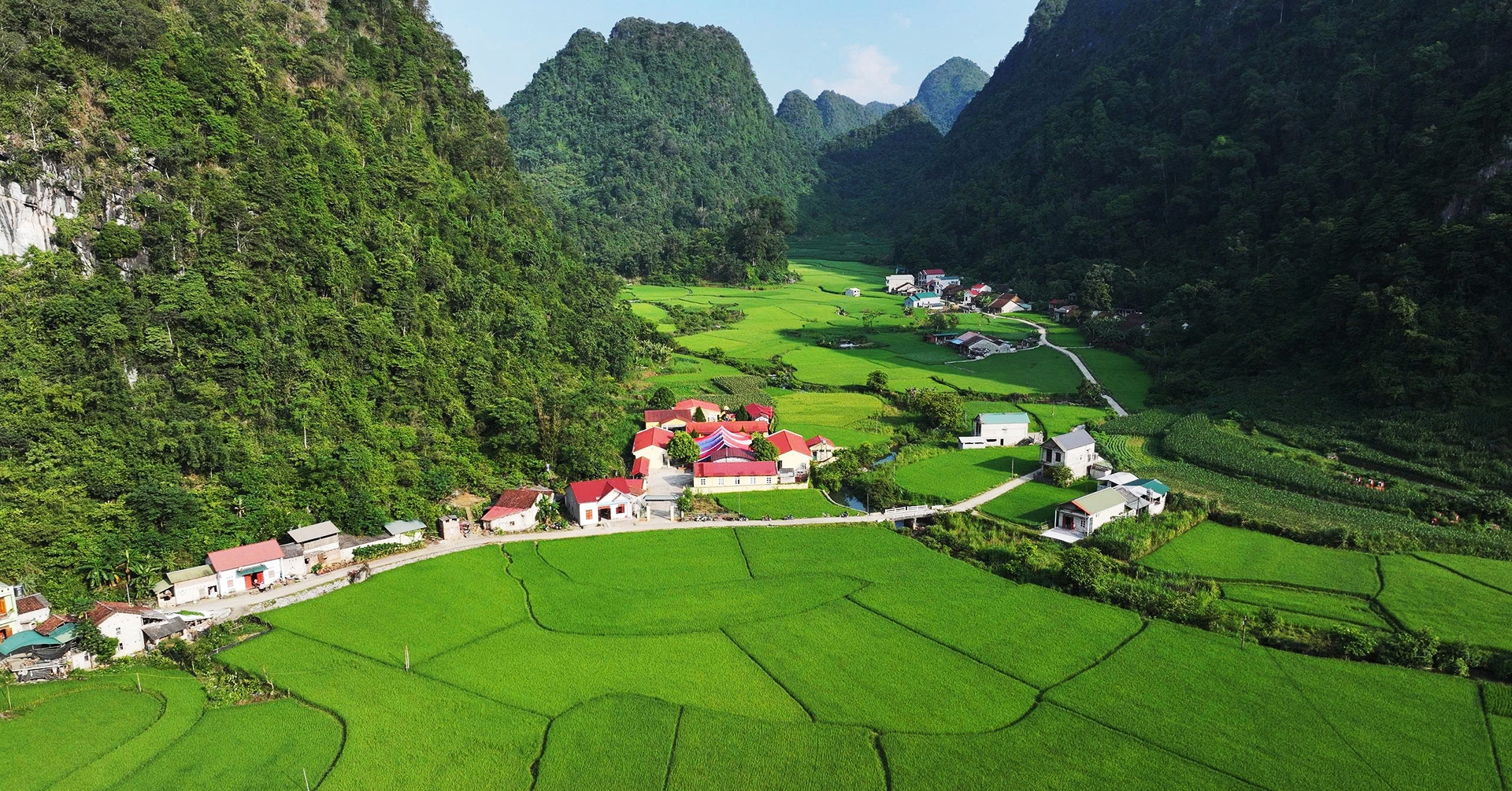 Pii Cao Bang Dung Cuoi Khong Phai Tai Ngheo Vuong O Cach Lam 388