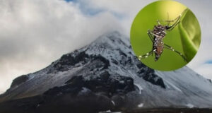 Quoc Gia Duy Nhat Nao Tren The Gioi Tung Khong Co Muoi 3148