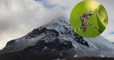 Quoc Gia Duy Nhat Nao Tren The Gioi Tung Khong Co Muoi 3148