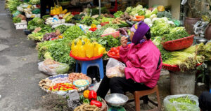 Rau Tang Gia Nguoi Ha Noi Tu Lam Gia Do Rau Mam Thiet Ke Bua An 3 Mon Con 2 963