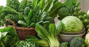 Rau Xanh 17642131961821022917293 65 0 705 1024 Crop 17642133301341907915456