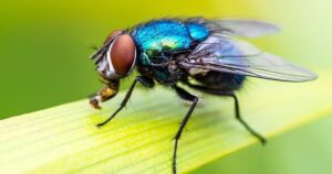 Ruoi 17630923065871835340415 0 96 478 861 Crop 17630923115851347011905