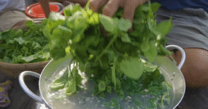 Sản vật không tốn tiền mua ở miền Tây, nấu canh ăn ngon lại mát 1 san vat khong ton tien mua o mien tay nau canh an ngon lai mat 1793