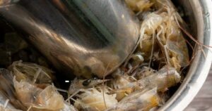 T Gia 1753701133597854166863 237 0 612 600 Crop 17537829440611371670904