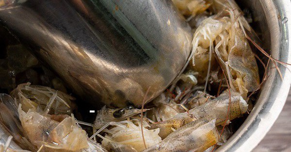 T Gia 1753701133597854166863 237 0 612 600 Crop 17537829440611371670904