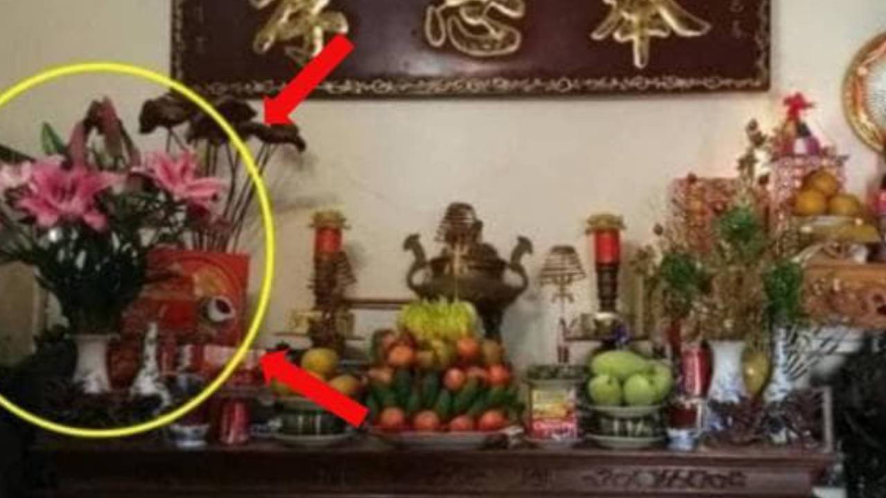 Tai Sao Nha Giau Kieng Ky Dat Lo Hoa Ben Trai Ban Tho I Quyet Thap Huong Ngay Ram Ban Can Biet 13445