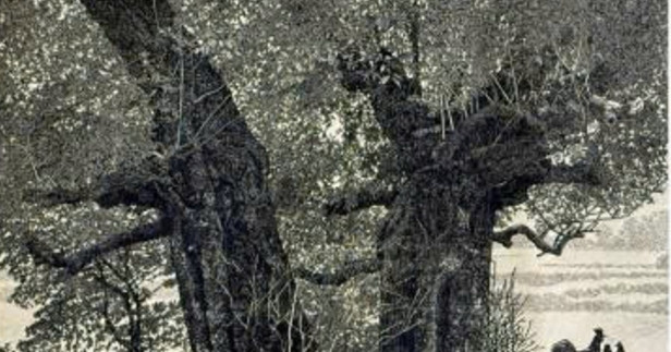 Tao Tac Di San Nghin Nam Thay Giao My Thuat Gianh Giai 75 Trieu Dong 3796