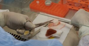 Te Bao Goc 1764057867404397934286 0 0 1126 1802 Crop 17640578765941554304513