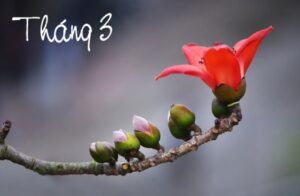 thang ba co gi dac biet so 3 may man hay xui xeo ban thay so 3 trong doi song minh the nao 181837.jp