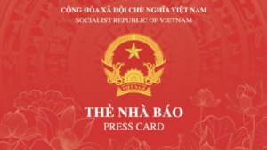 the nha bao 2