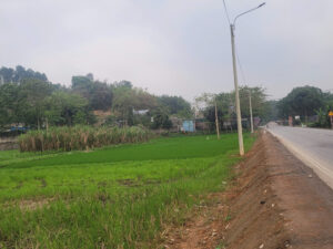 theo nguoi dan lua mat mua co the do anh den cao ap chieu sang suot dem can cac co quan chuc nang la