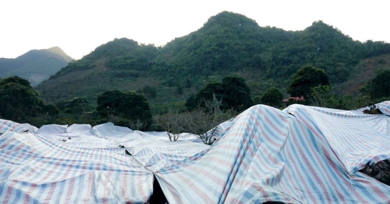 Thoi Tiet Di Thuong Uy Hiep Vua Vang Den Dan Phu Bat Hun Khoi Cuu Cay 589