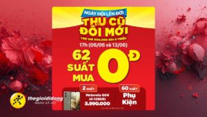 thucu2639159302444127193