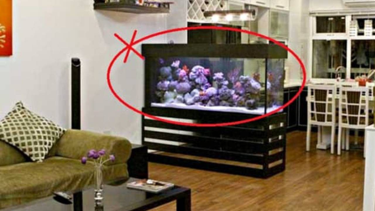 Tranh Hao Tai Ton Cua 4 Vat Dung Tuyet Doi Khong Dat Duoi Chan Ban Tho 134927