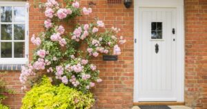 Trong Cay 17650128685311901781314 0 156 900 1596 Crop 1765012873924602490426