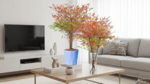 Trong Nam Thien Truc Trong Nha Gia Dao Am Em Tai Khi Sang Van May Tu Tim Den 150739