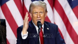 trump 19 7