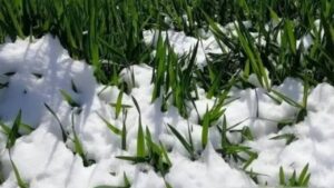 Vi Sao Dan Gian So Ngay Mung 1 Thang 11 Am Lich Ngay Mai Den Roi Co Gi Dang Lo 143150