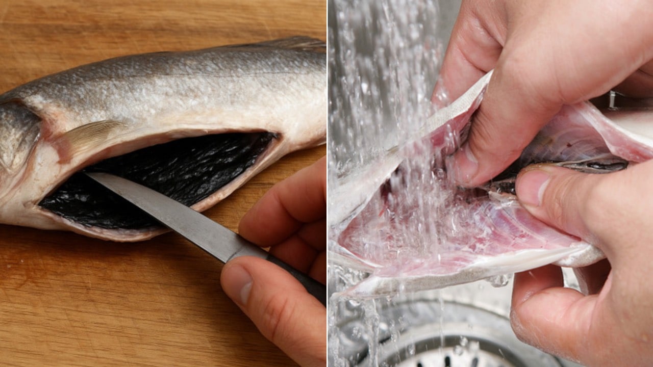 Vi Sao Phai Cao Sach Lop Mang Den Trong Bung Ca Truoc Khi Nau 235625