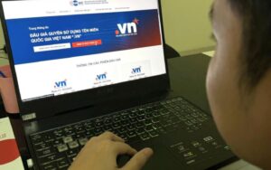 viet nam lan dau dau gia ten mien vn