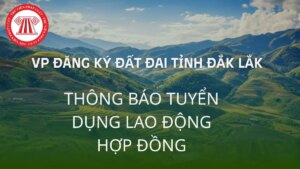 vp dang ky dat dai tinh dak lak tuyen dung lao dong hop dong