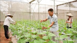 Xa Ung Thien Tap Trung Chuyen Doi So Va Phat Trien Kinh Te Xanh Nong Nghiep Cong Nghe Cao 2025101516